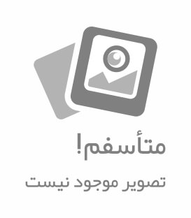 تی شرت طرح زرین بال